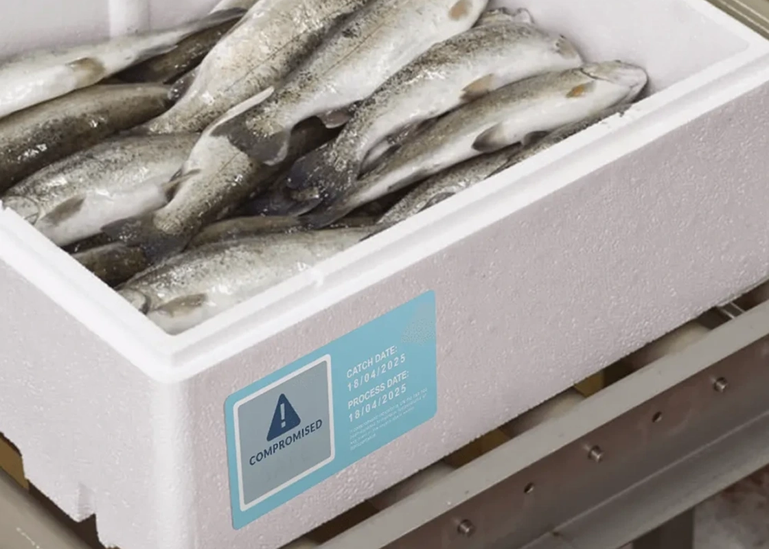 Ynvisible’s energy-efficient e-paper displays bring real-time visibility and reliability to cold chain logistics