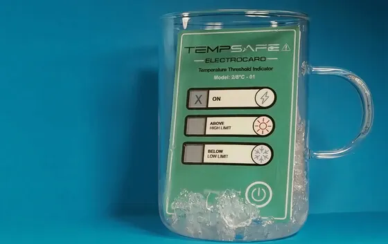 Ynvisible Display in ice
